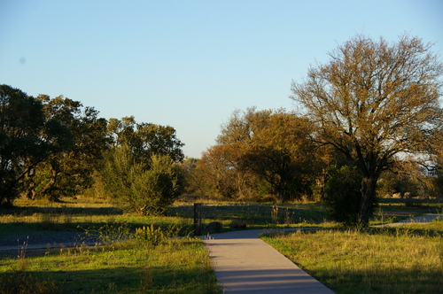 Plateau de la Tour